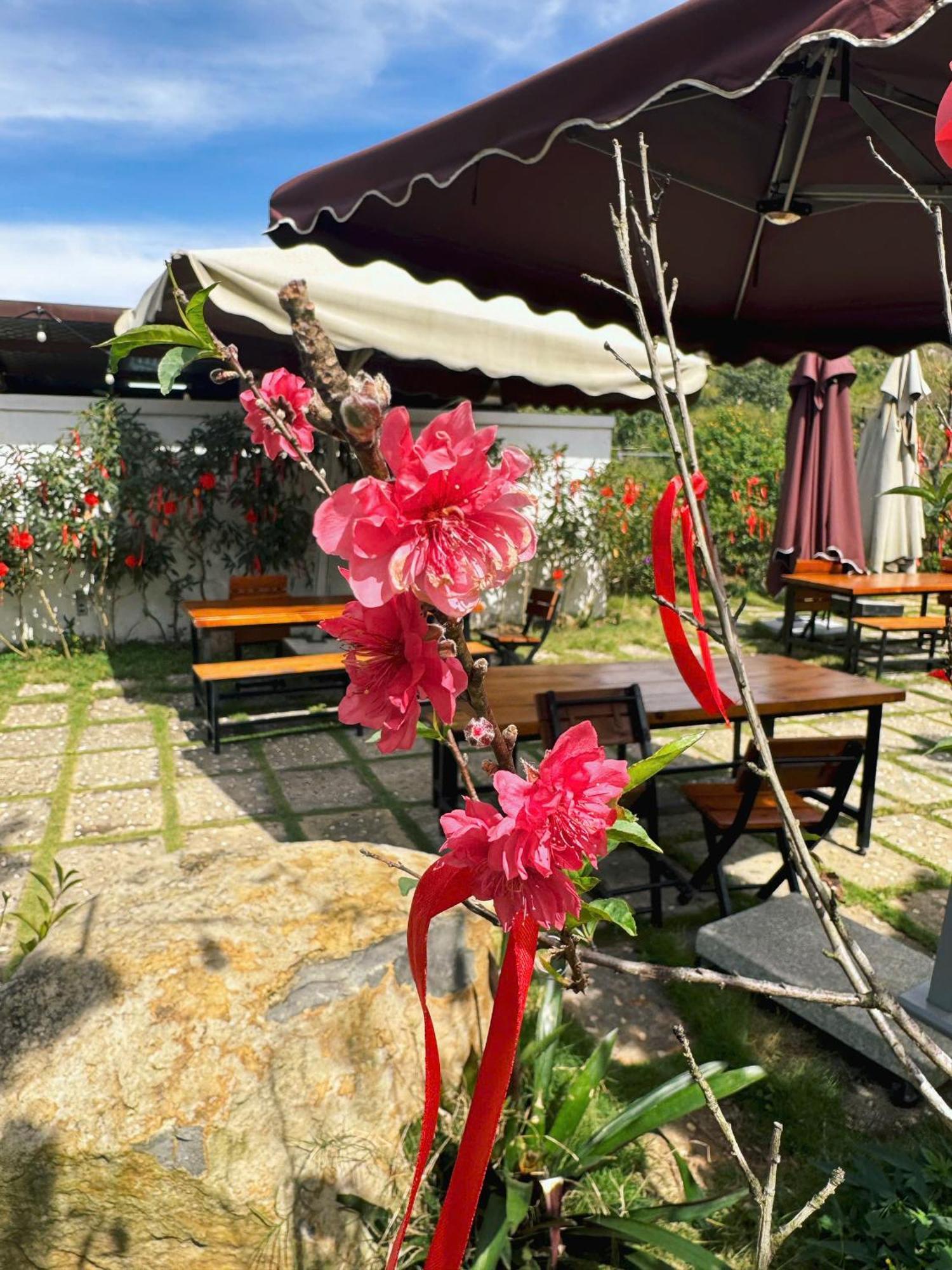 होटल Greeneco - Khach San Eco Da Lat